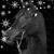 Laura Hurzeler's profile image