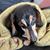 Ellie Grey's profile image