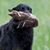 Marilyn Wilkinson's profile image