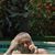 Jeffrey Brent Cason's profile image