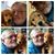 Timothy Llewellyn's profile image