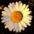 Noreen Griffith's profile image