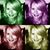 Stacy Young Evans's profile image