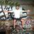 James Gorecki's profile image