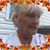 Marsha Gail Allen's profile image