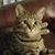 Rebecca Metzen's profile image