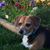 Tracy Hill's profile image