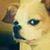 Tom Newton's profile image