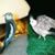 Eileen Smith's profile image