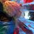 Christine Linkens's profile image