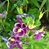 Lori L Nordine's profile image