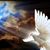 Patricia Magana Rodriguez's profile image