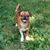 Kimberly Scott Berard's profile image