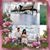 Aracely Sandoval's profile image