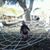 Joyce Andrews's profile image