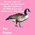 Jess Merriman's profile image