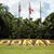 WeValue Doral's profile image