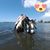 Jessica Barnhart's profile image