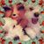 Angie Guillen's profile image