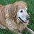 Deb McElroy Peters's profile image