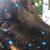 Karol Rae's profile image