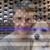 Brian Watson's profile image