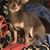 Cathie Vickye Malecki's profile image