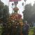 Maria Lourdes Sanchez's profile image