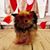 Tammy J Bishop's profile image