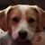 Bernadette Pesce Semple's profile image