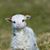 Mary Nonimous's profile image
