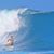 Moana Wietecha's profile image