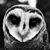 Paul Quezada's profile image