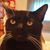 Pam McFadden's profile image
