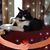 Lucrecia Fry's profile image