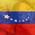 María Elena Campos's profile image