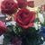 Berenice Pineda's profile image