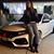 Marisol Munoz's profile image