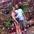 Melissa Fuller's profile image