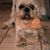 Kristie Tootie LaBoca's profile image