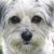 Debra Johnson's profile image