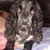 Marcia Alen's profile image