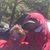 Chad Pullen's profile image