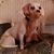 Terry Nickerson's profile image