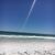 Lisa Morris Koesterer's profile image