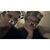 Kody Wayne Goins's profile image