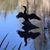 Vicky Molinaro's profile image