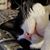 Wendy Giarro's profile image