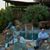 Andrew Popik's profile image
