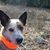 Susan Ewing's profile image